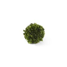 Load image into Gallery viewer, Preserved Boxwood Mini Ball