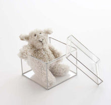 Load image into Gallery viewer, Clear Looker Boxes Silver Trim W/Lid