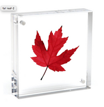 Load image into Gallery viewer, Original Acrylic Magnet Frame