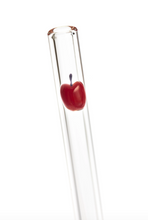 Load image into Gallery viewer, Glass Etched Drinking Straw